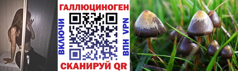 даркнет какой сайт  Заозёрный  Галлюциногенные грибы мицелий  наркошоп 